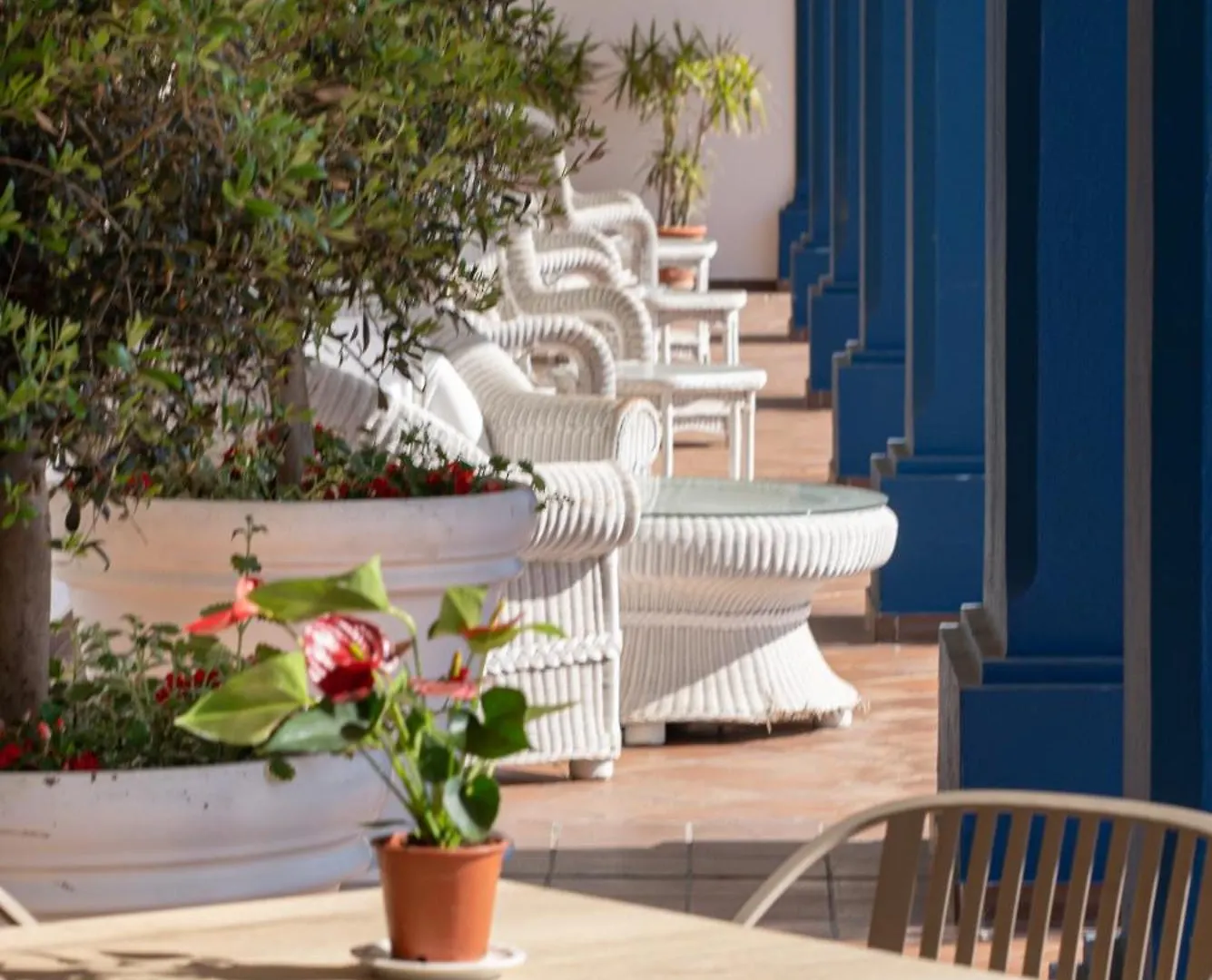 Hotel Piedra Paloma By Croma Estepona